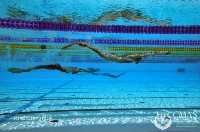 Introduction to FinSwim