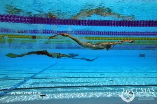 Introduction to FinSwim